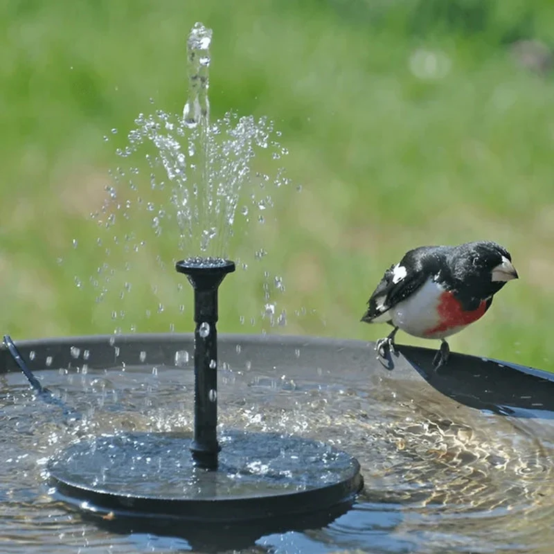 Skanto | Solarbetriebener Vogelbrunnen mit Licht