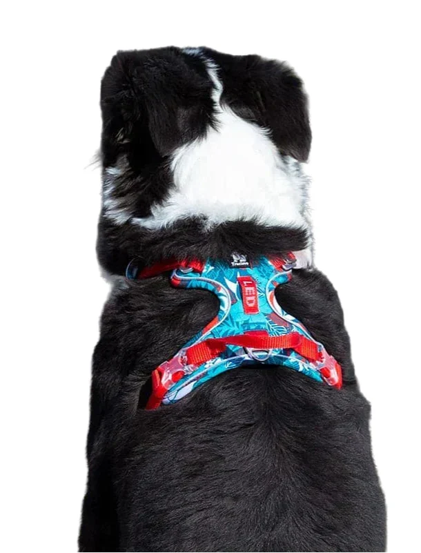Bequemes und strapazierfähiges Hundegeschirr – Vendo Skanto
