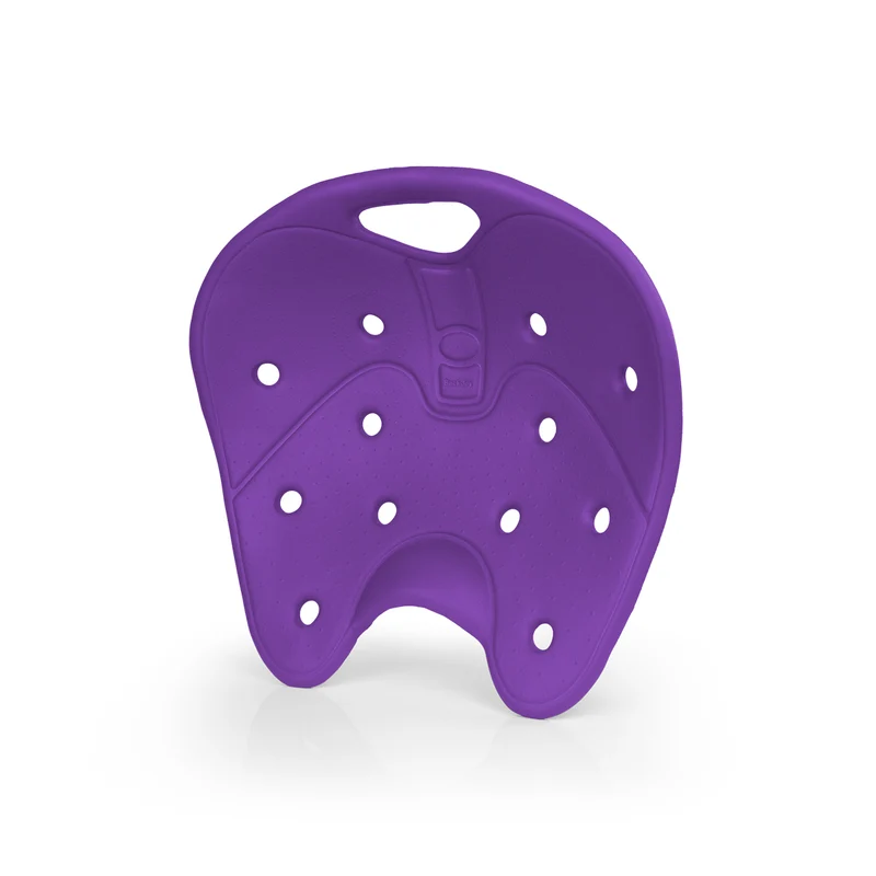 BackJoy SitSmart Core
