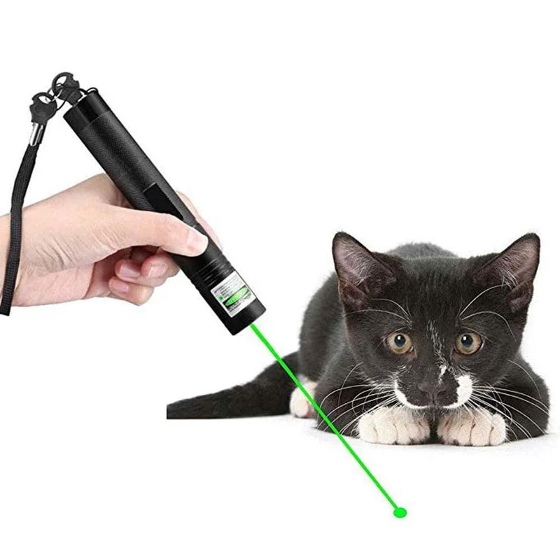 Hochleistungs-Laserpointer 303 | Leistungsstarker grüner Strahl für große Entfernungen | Skanto