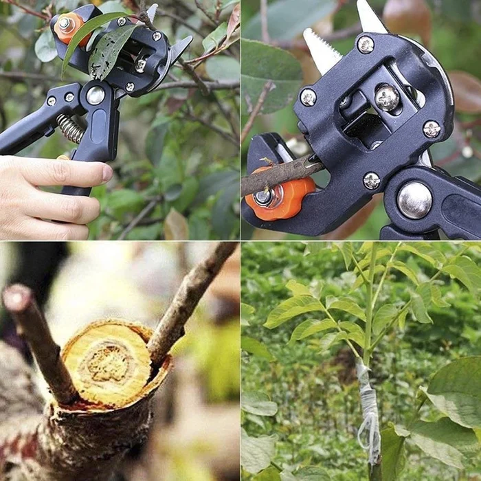 Skanto | Professionelles Garten-Veredelungswerkzeug-Set