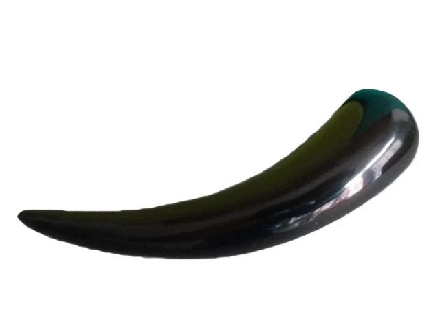 Profi Gua Sha Schaber aus massivem Horn (16cm) – Ergonomisches Tool für IASTM & Massage