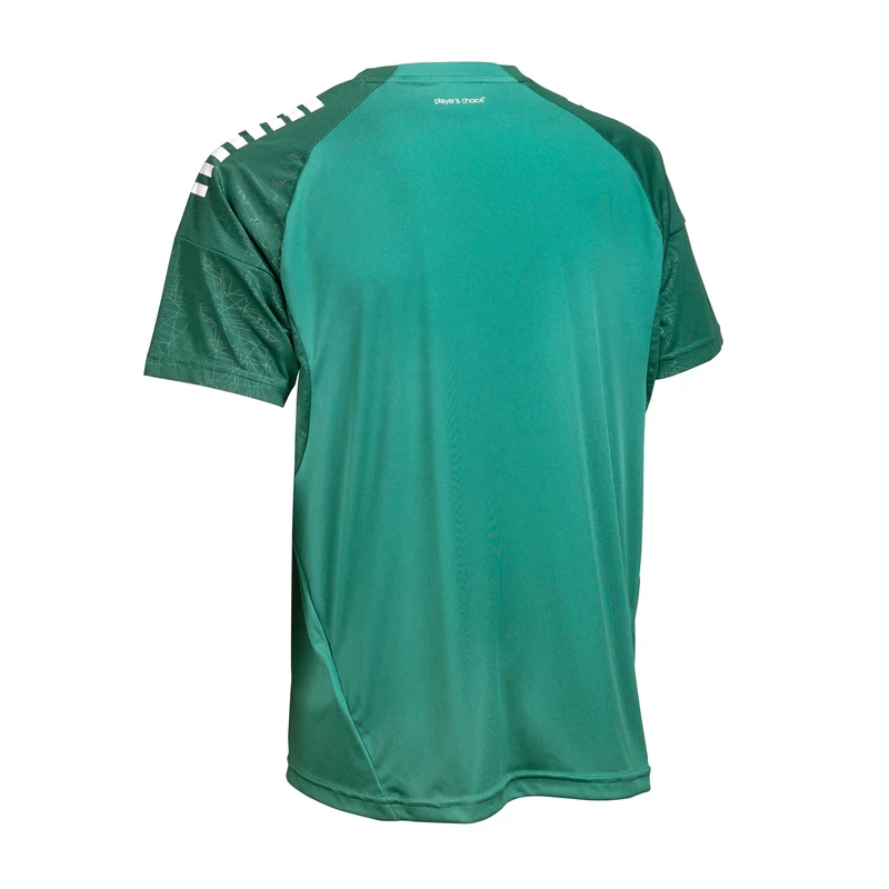 Spain Trikot