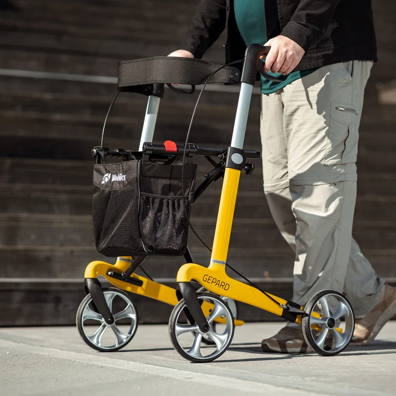 Leichtgewicht Rollmobil Gepard Carbon