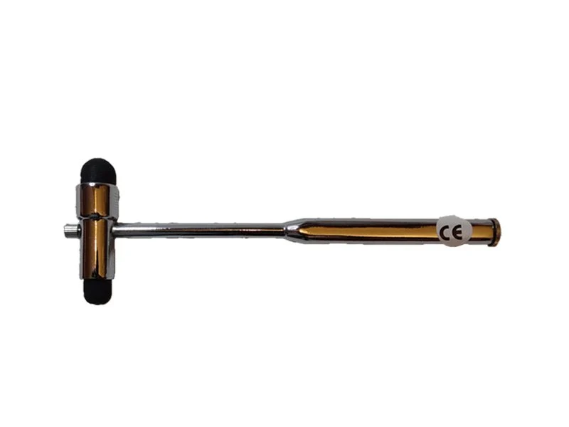 Reflexhammer nach Buck – 4-in1 Diagnostik-Instrument mit Pinsel & Nadel für Physiotherapie & Medizin